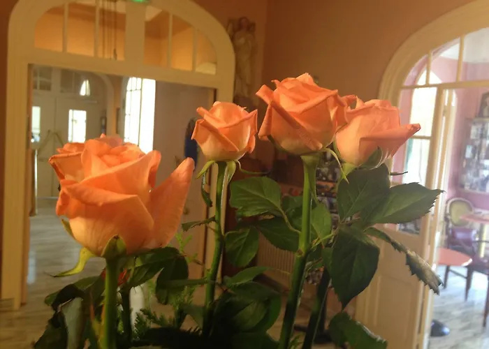 De L'europe ホテル